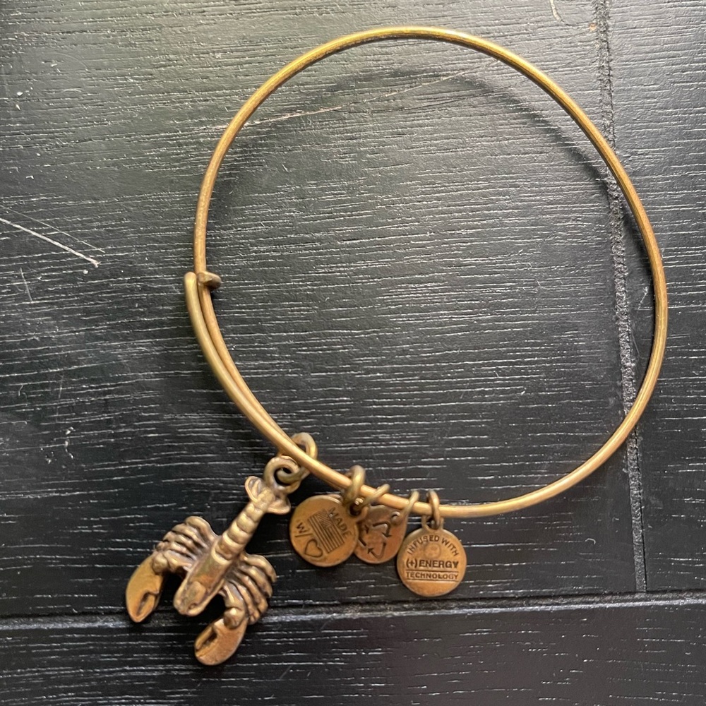 Lobster 🦞Alex & Ani
